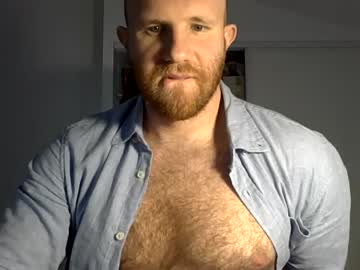 poweredbear cams all night