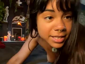 octocock_ cams all night