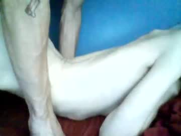 here4funwith cams all night