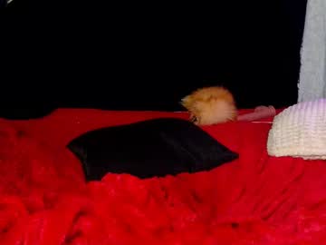 Cam girl demmi_foxy image #8260290